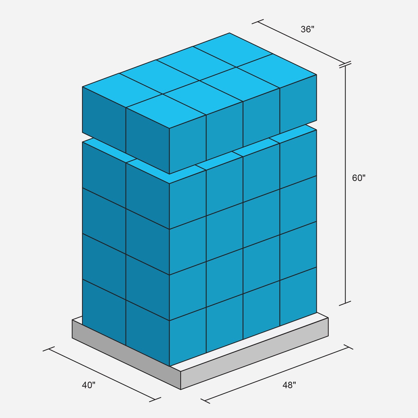 Master Case  / Pallet